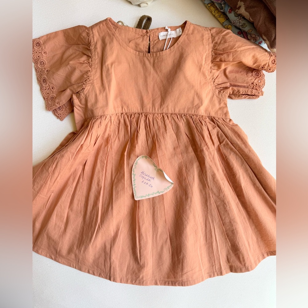Jamie Kay Brooklyn Dress color “Clementine”